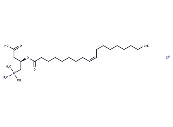 Oleoyl-L-carnitine chloride