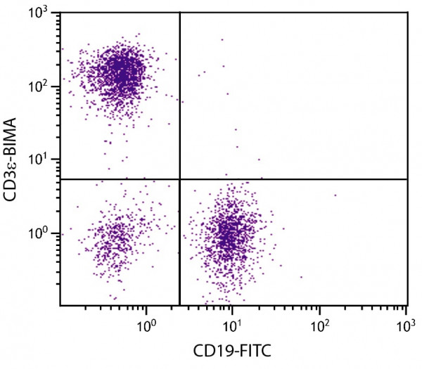 Anti-CD19 (FITC), clone 6D5