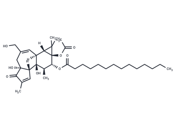 Phorbol 12-myristate 13-acetate