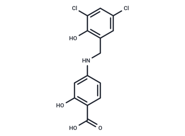 ZL006