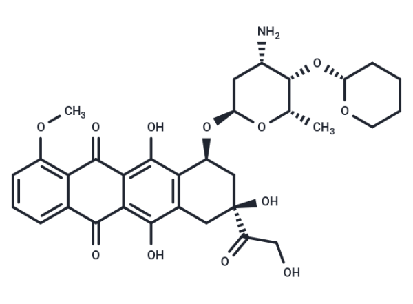 Pirarubicin