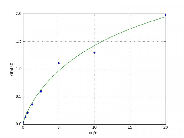 Human Transglutaminase 1, Keratinocyte / TGM1 ELISA Kit