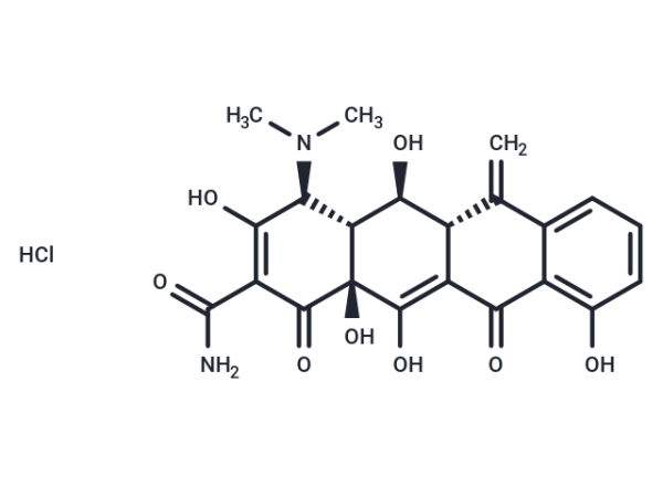 Methacycline hydrochloride