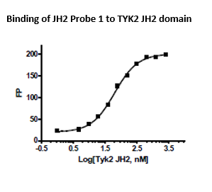 TYK2 JH2 Pseudokinase Domain Inhibitor Screening Assay Kit