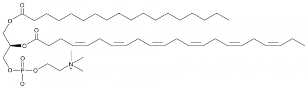 1-Stearoyl-2-Docosahexaenoyl-sn-glycero-3-PC