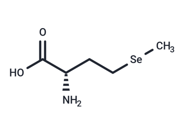 L-SelenoMethionine