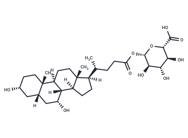 Chenodeoxycholic Acid 24-Acyl-beta-D-Glucuronide