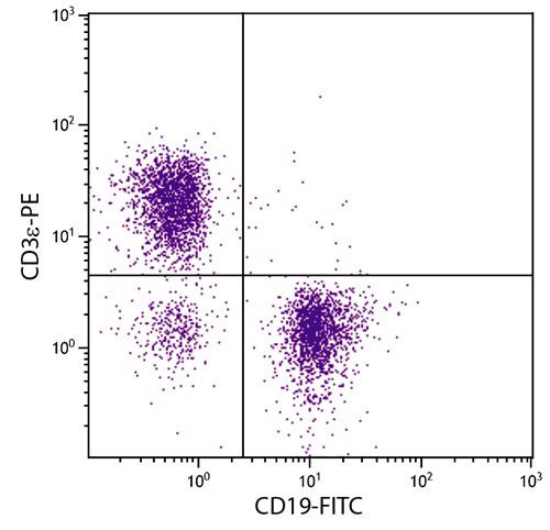 Anti-CD19 (FITC), clone MB19-1