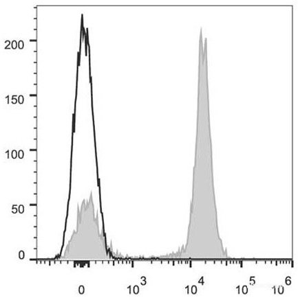 Anti-Mouse CD19 (AF647 Conjugated)[1D3], clone 1D3