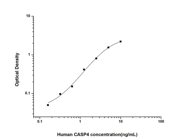 Anti-Caspase-4 (Detector), clone 1A7