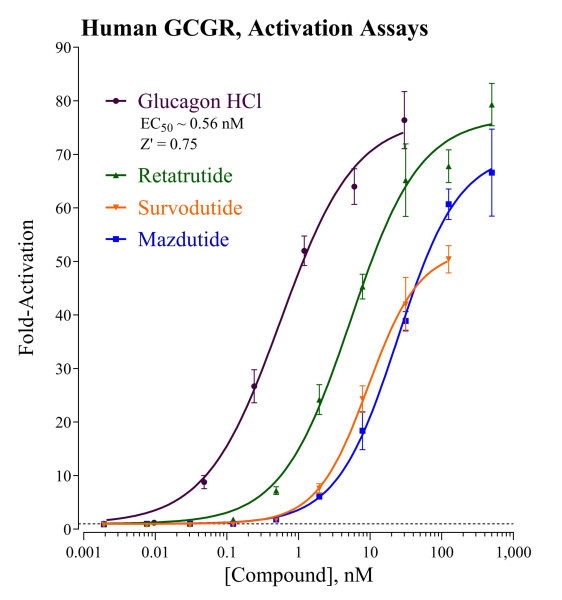 GCGR Reporter Assay System (human)