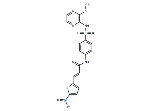 Necrosulfonamide