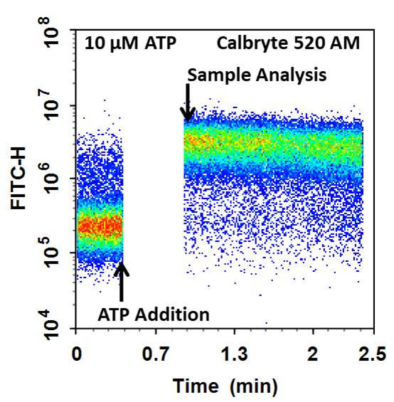 Cell Meter(TM) Flow Cytometric Calcium Assay Kit