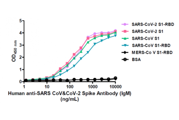 Human anti-SARS-CoV &amp; CoV-2 Spike Antibody (IgM), clone CR3022