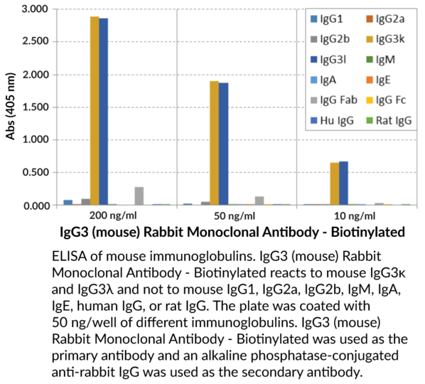 Anti-IgG3 (mouse) Rabbit Monoclonal Antibody - Biotinylated (RM218)