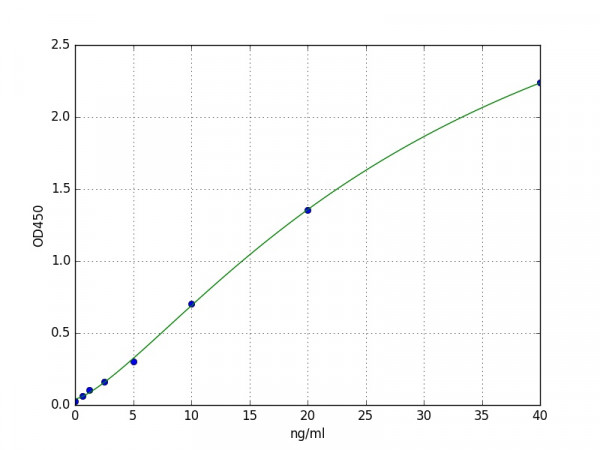 Human GLUT2 / Glucose Transporter 2 ELISA Kit