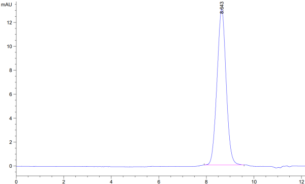 Human AMHRII Protein