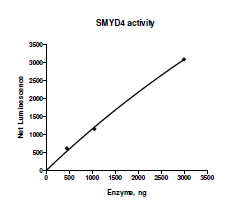 SMYD4, FLAG-tag