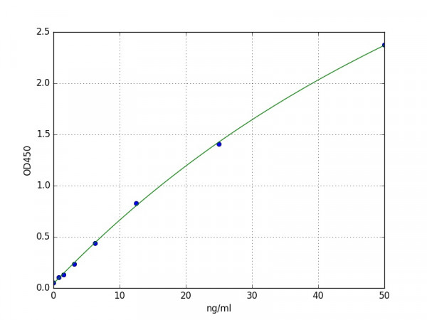 Human Apolipoprotein L1 / APOL1 ELISA Kit