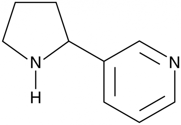 (±)-Nornicotine