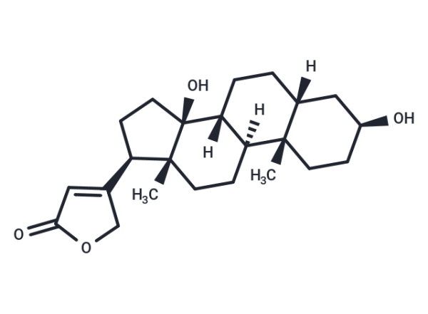 Digitoxigenin