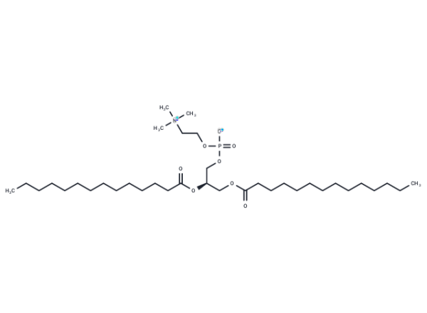 1,2-Dimyristoyl-sn-glycero-3-phosphocholine