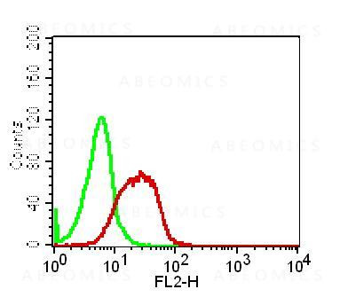 Anti-Human TNF alpha (Clone: ABM24B7)