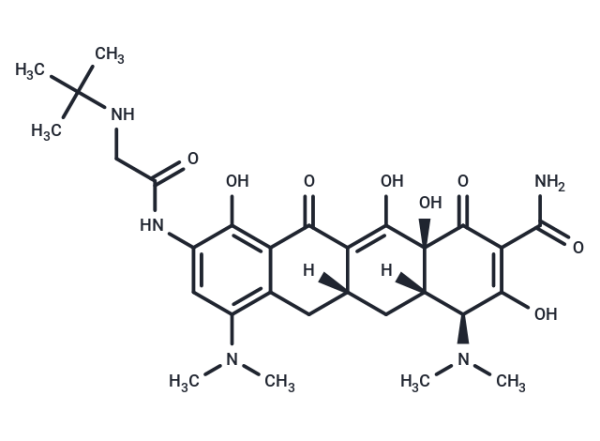 Tigecycline