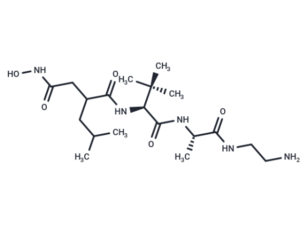 TNF Protease Inhibitor 2