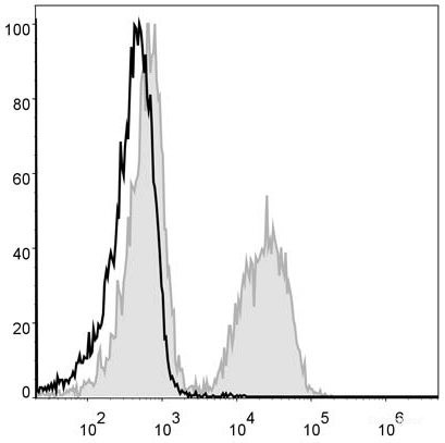 Anti-Mouse CD19 (PE Conjugated)[1D3], clone 1D3