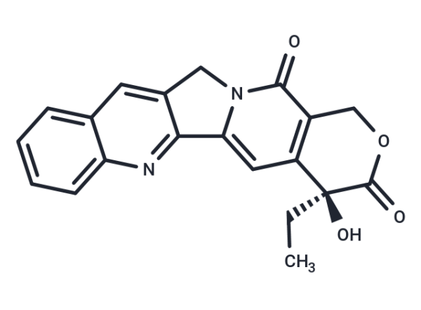 Camptothecin