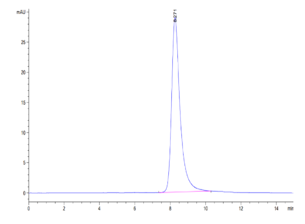 Human ANGPTL7/CDT6 Protein