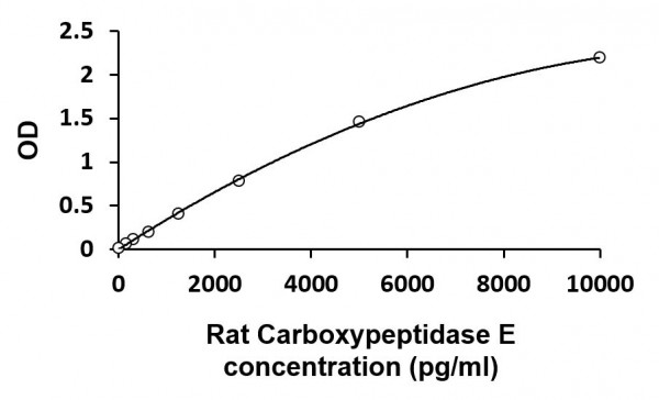 Rat CPE / Carboxypeptidase E ELISA Kit