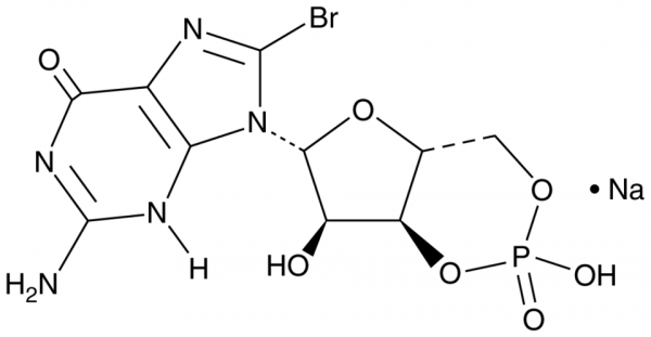 8-bromo Cyclic GMP (sodium salt)
