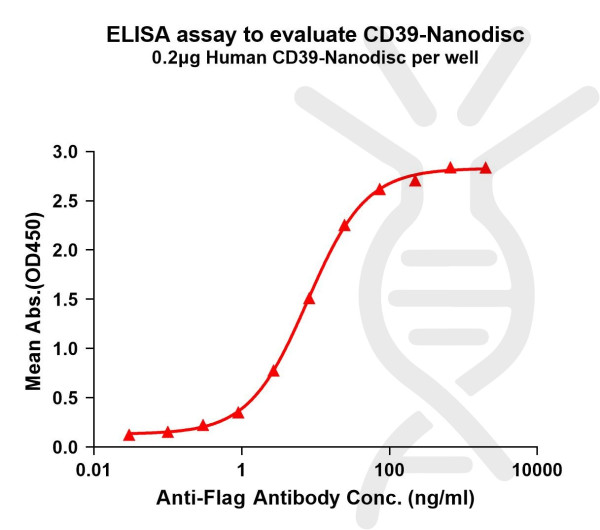 CD39 (human) full length protein-synthetic nanodisc