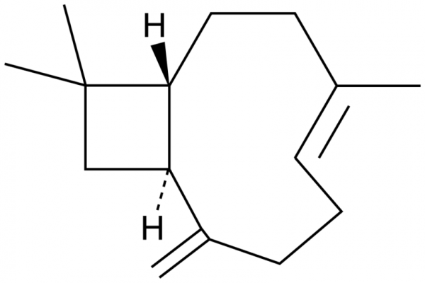 beta-Caryophyllene