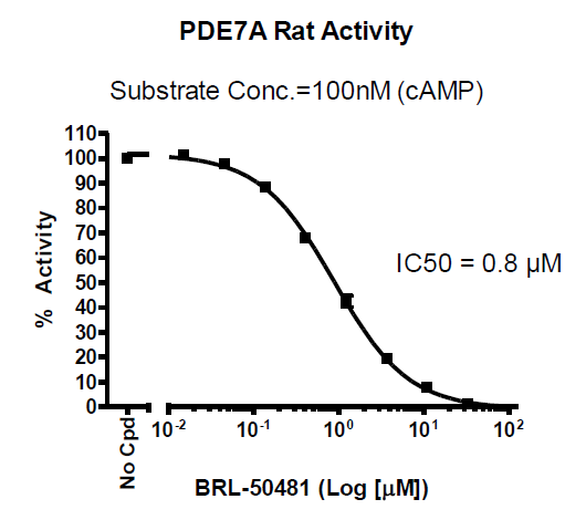 Rat PDE7A Assay Kit