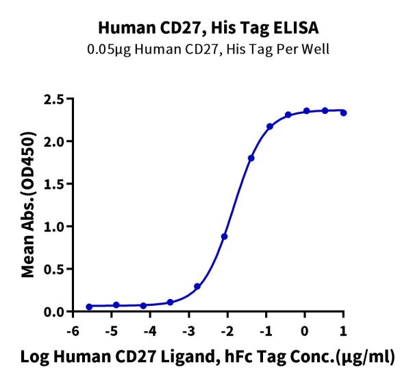 Human CD27/TNFRSF7 Protein