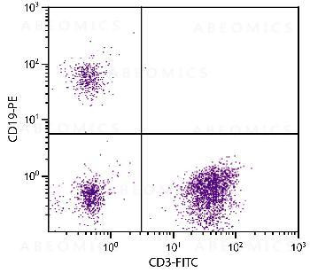 Anti-CD19-PE (human) [Mouse]