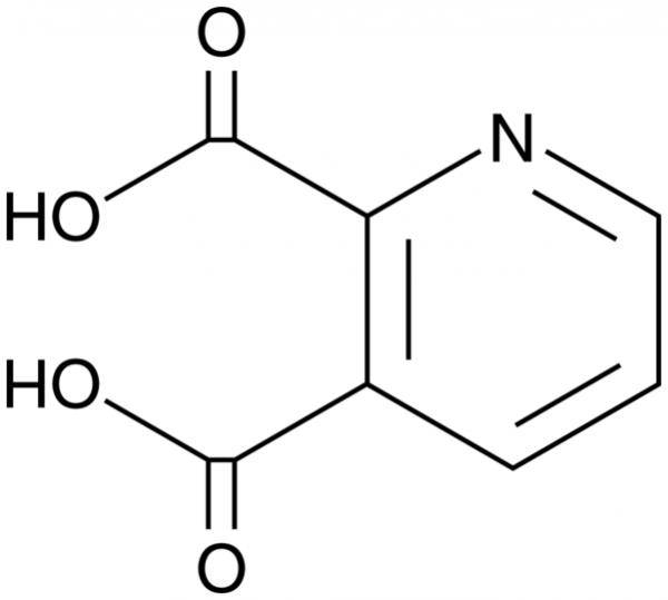 Quinolinic Acid