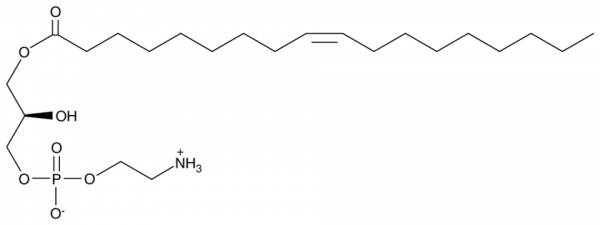 1-Oleoyl-2-hydroxy-sn-glycero-3-PE