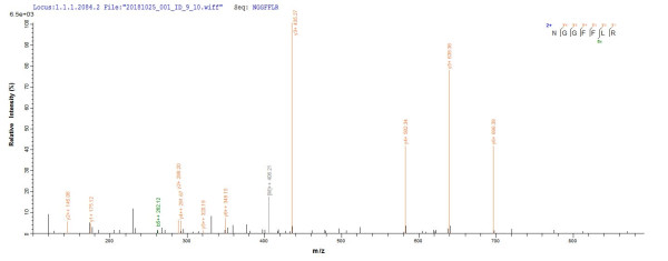 Fibroblast growth factor 2 (FGF2), human, recombinant