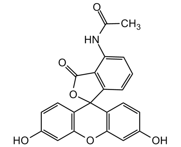 Acetamidofluorescein