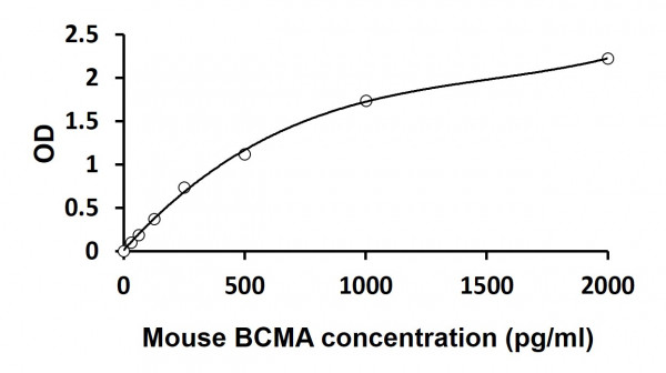 Mouse BCMA ELISA Kit