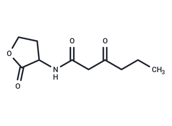 N-(Ketocaproyl)-DL-homoserine lactone