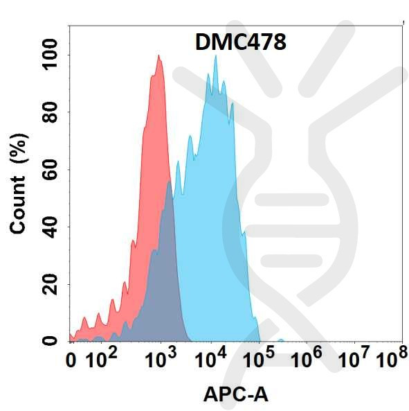 Anti-GPR87 antibody(DMC478), IgG1 Chimeric mAb