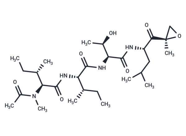 Epoxomicin