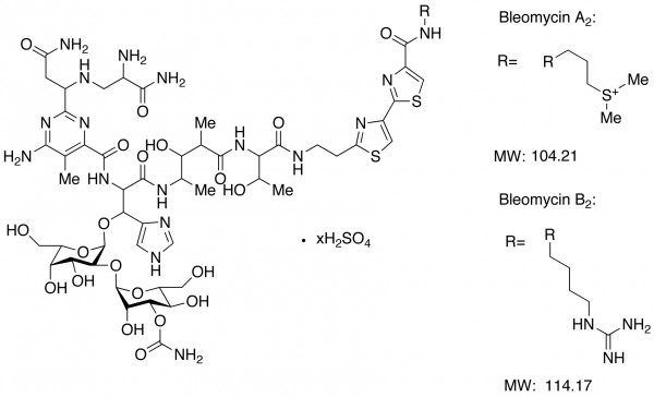 Bleomycin complex (as sulfate salts) (Blenoxane, Bleo, Blexane)