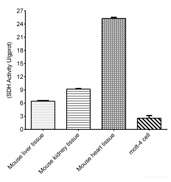 Succinate Dehydrogenase (SDH) Activity Assay Kit