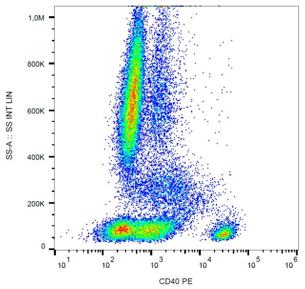 Anti-CD40, clone HI40a (PE)